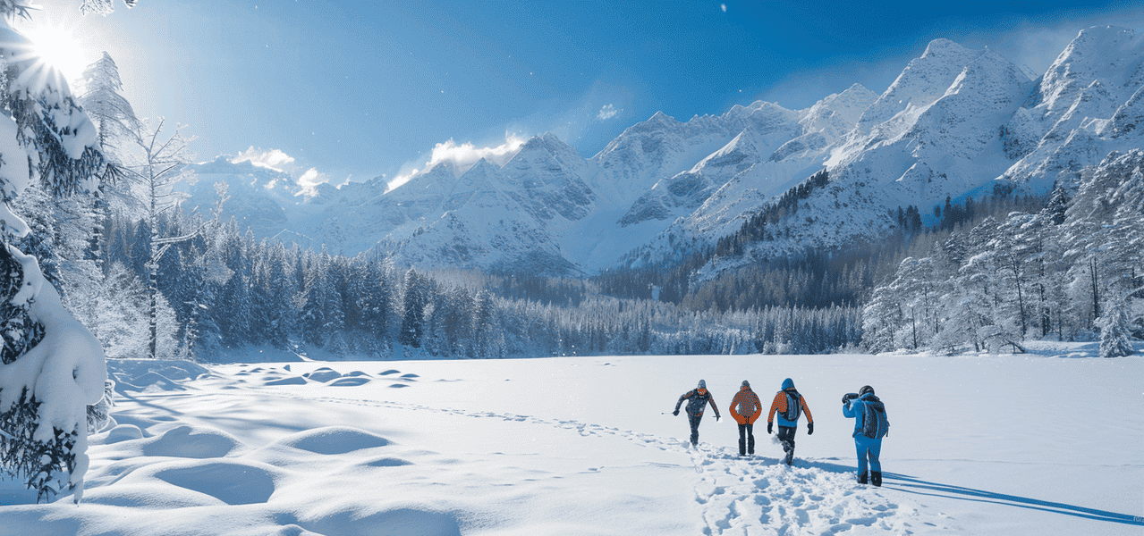 Баннер Termofinn BOOTS
